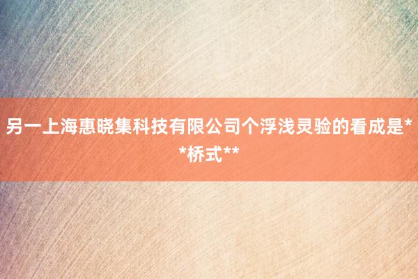 另一上海惠晓集科技有限公司个浮浅灵验的看成是**桥式**